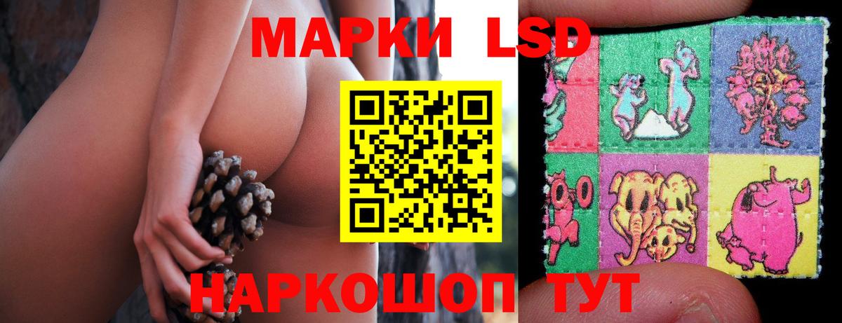 Лсд 25 экстази кислота  Вход с VPN  Гудермес 