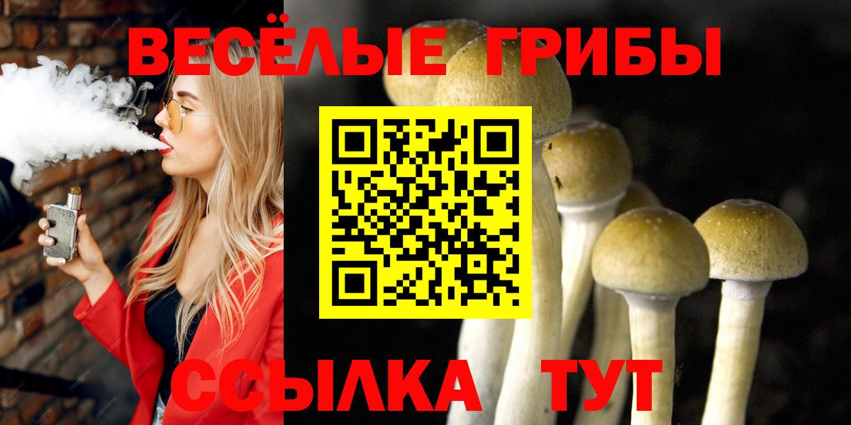 Псилоцибиновые грибы Psilocybine cubensis Гудермес