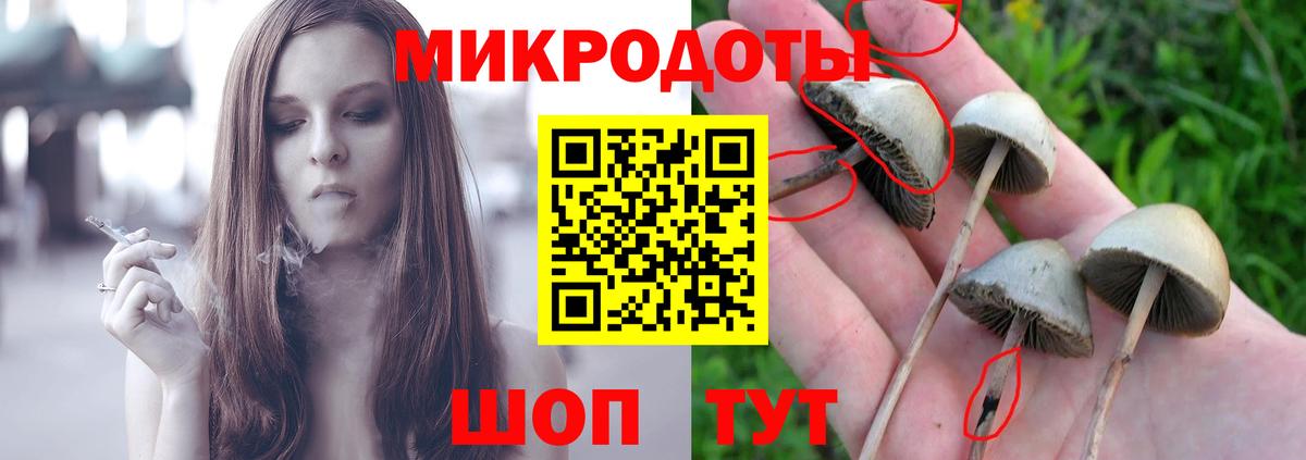 Псилоцибиновые грибы мицелий  Вход с VPN  Гудермес  Галлюциногенные грибы ЛСД 